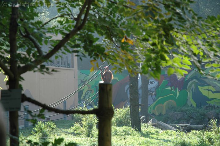 dsc_2813.jpg