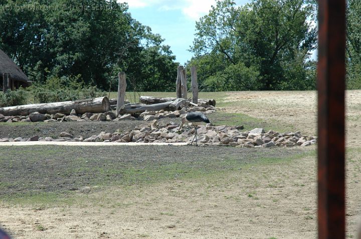 20070708_123214.jpg