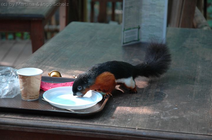 DSC_5331.jpg